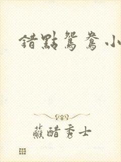 错点鸳鸯小说