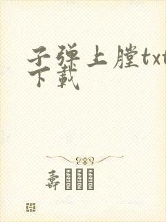 子弹上膛txt下载