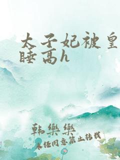 太子妃被皇上强睡高h