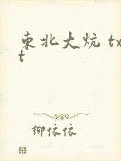 东北大炕 txt