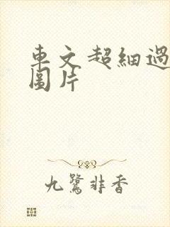 车文超细过程长图片