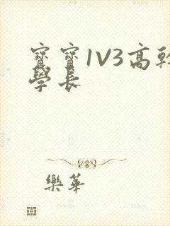 宝宝1V3高干学长