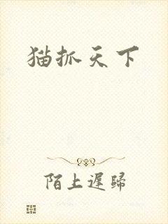 猫抓天下