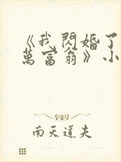 《我闪婚了个亿万富翁》小说