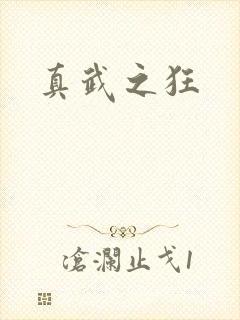 真武之狂