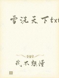 雪洗天下txt