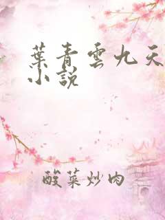 叶青云九天玄宗小说