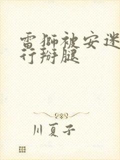 雷狮被安迷修强行掰腿