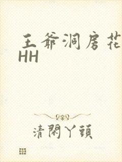 王爷洞房花烛夜HH