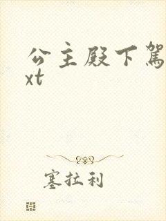 公主殿下驾到txt