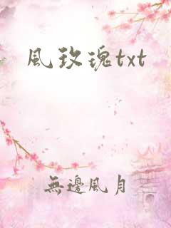 风玫瑰txt