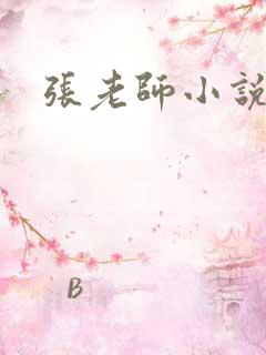 张老师小说