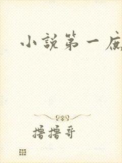 小说第一庶女