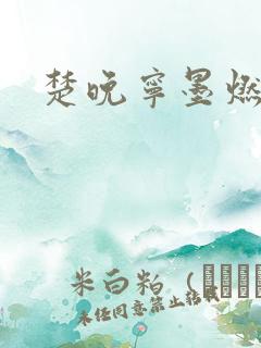 楚晚宁墨燃肉