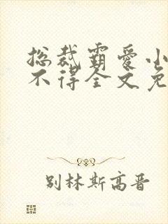 总裁霸爱小妻惹不得全文免费阅读笔趣阁