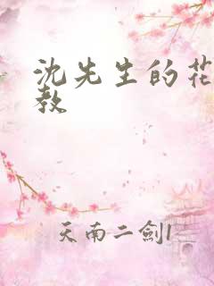 沈先生的花式调教