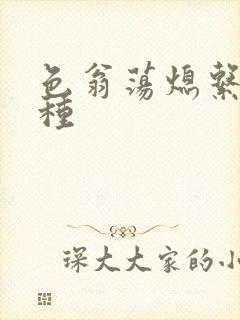 色翁荡熄系列借种