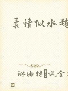 柔情似水赵雅儿