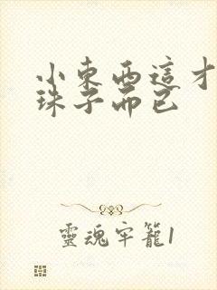 小东西这才一颗珠子而已