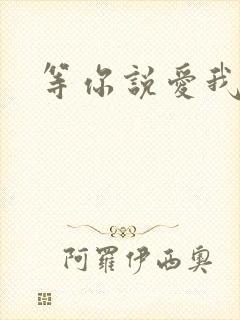 等你说爱我小说