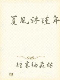夏风沐瑾年