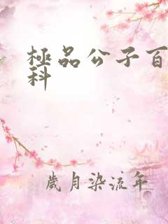 极品公子百度百科
