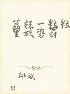 荔枝一粒粒的往里放惩罚