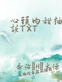 心头肉甜柚子小说TXT
