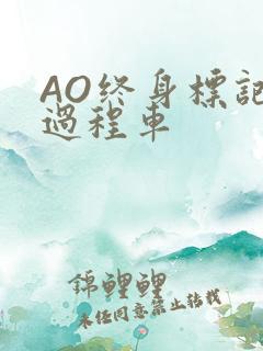 AO终身标记全过程车