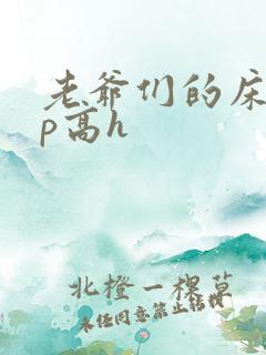 老爷们的床奴np高h