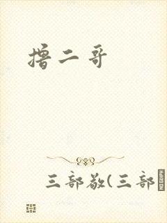 撸二哥