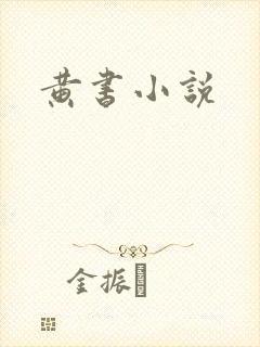 黄书小说