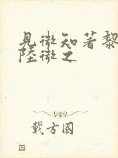 见微知著黎见卿陆微之