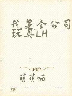 我是全公司发泄玩具LH