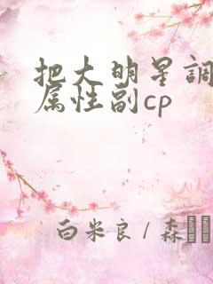 把大明星调成专属性副cp