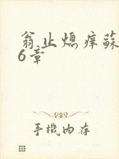 翁止熄痒苏钥第6章