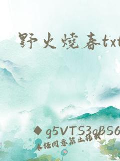 野火烧春txt