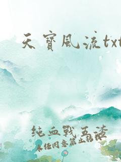 天宝风流txt