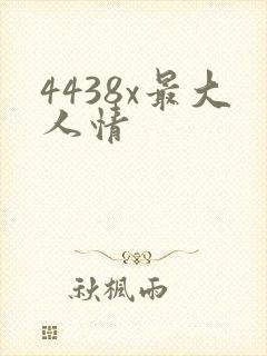 4438x最大人情
