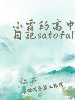 小霜的高中成长日记satofall