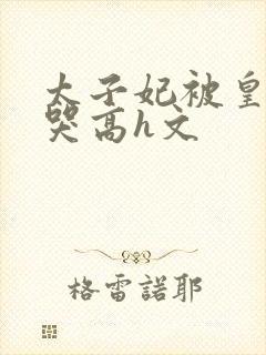 太子妃被皇上c哭高h文