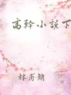 高干小说下载