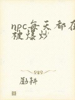 npc每天都在被爆炒
