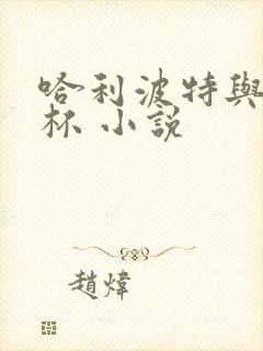 哈利波特与火焰杯 小说