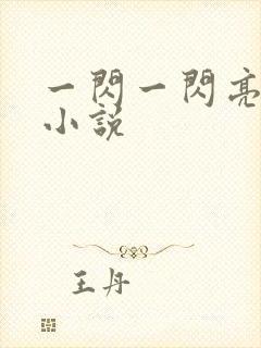 一闪一闪亮星星小说