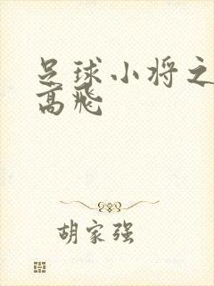 足球小将之展翅高飞