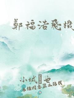 郑福浩飞机坠海