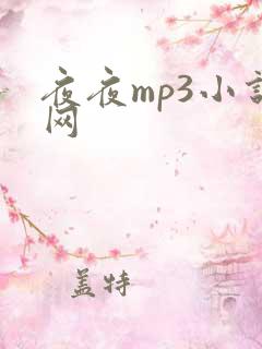 夜夜mp3小说网