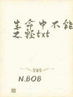 生命中不能承受之轻txt