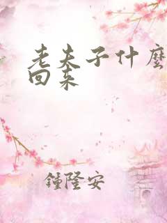 老夫子什么时候回来